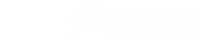 Pinnacle Web Solutions India